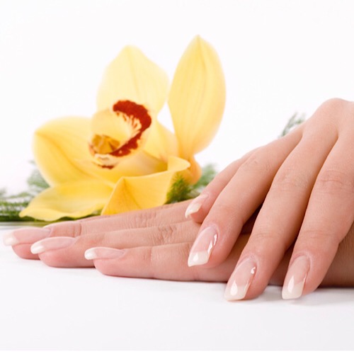 POSH NAILS AND SPA - MANICURES
